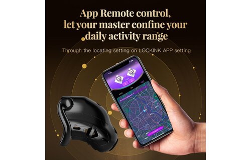 Sevanda Electric Shock Chastity Cage With App & Lock