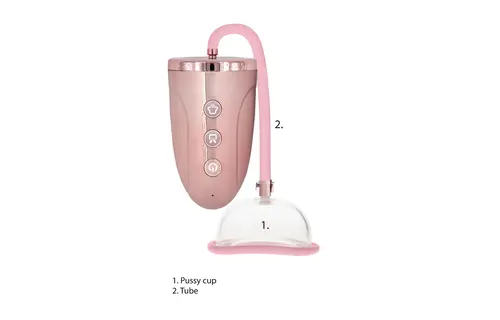 Rechargeable Vagina - Pussy Pump