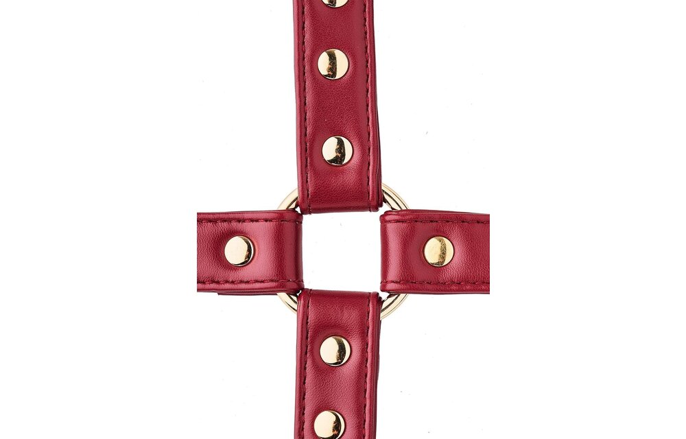 Blaze Elite Hog Tie Rot – Luxuriöser Hogtie aus PU-Kunstleder