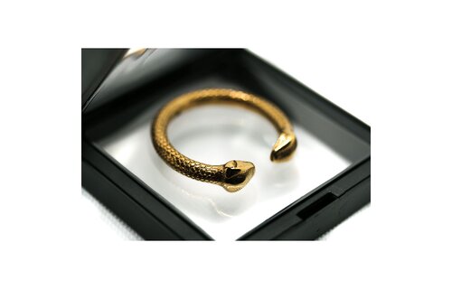 Gouden Eikelring – Luxe, Stevige Slangring van Roestvrij Staal