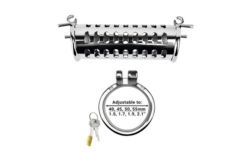 Twin Cock Cage | High-Gloss Stainless Steel Chastity Cage