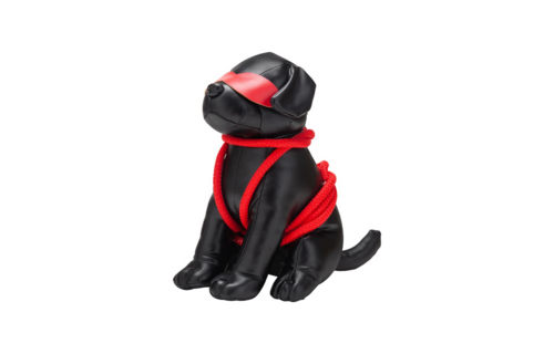 Roped Up Rover – Ondeugende Bondage Pup van Prowler Red