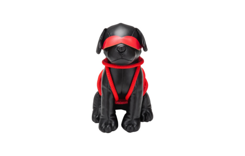 Roped Up Rover – Ondeugende Bondage Pup van Prowler Red