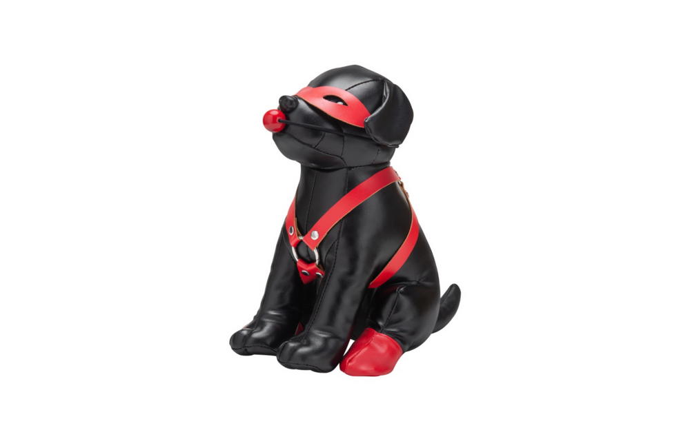 Booted Up Bandiet: Ondeugende Puppy Vol Plezier & Avontuur