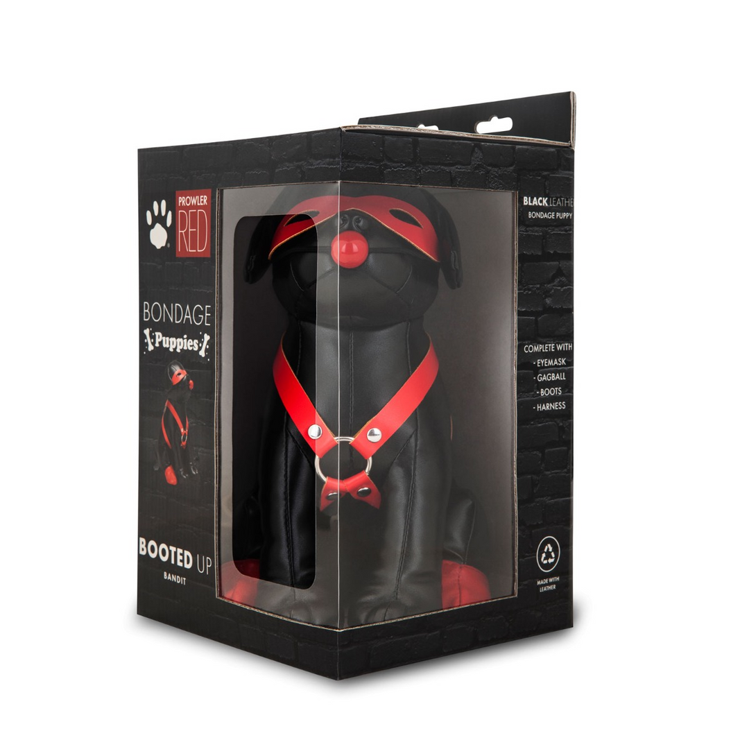 Booted Up Bandit: Frecher Welpe voller Spaß & Abenteuer