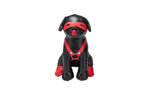 Booted Up Bandit: Naughty Puppy Full of Fun & Adventure