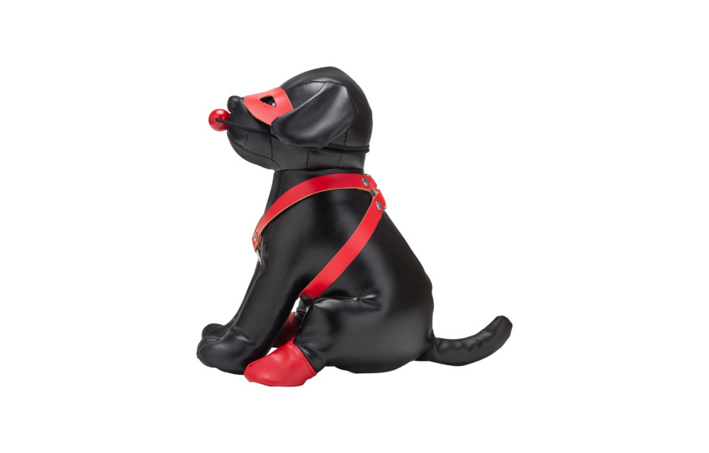 Booted Up Bandiet: Ondeugende Puppy Vol Plezier & Avontuur