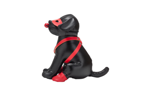 Booted Up Bandiet: Ondeugende Puppy Vol Plezier & Avontuur