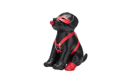 Booted Up Bandiet: Ondeugende Puppy Vol Plezier & Avontuur