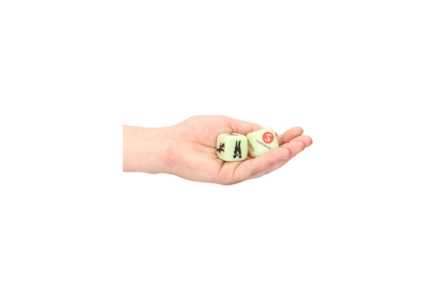 Light Up Your Sexy Night Dice
