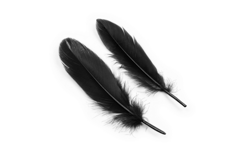 Lover'S Dream Bondageset Zwart | 4-Delig Beginnerspakket