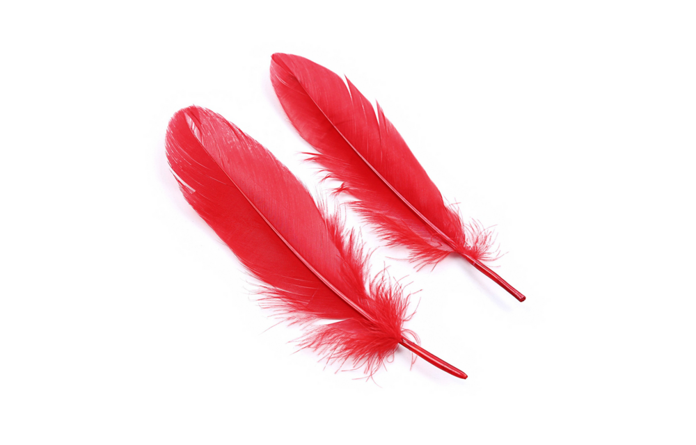 Lover'S Dream Rot: Weiches 4-teiliges Bondage-Set für Anfänger