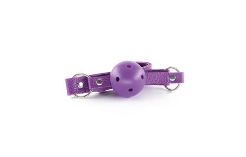 Dungeons And Maidens BDSM Kit Purple – Luxury 8-Piece Set