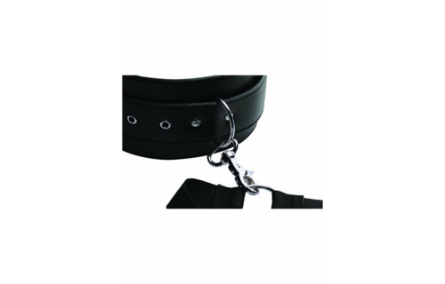 Eenvoudige Toegang Dijharnas Met Polsboeien - Comfort & Controle