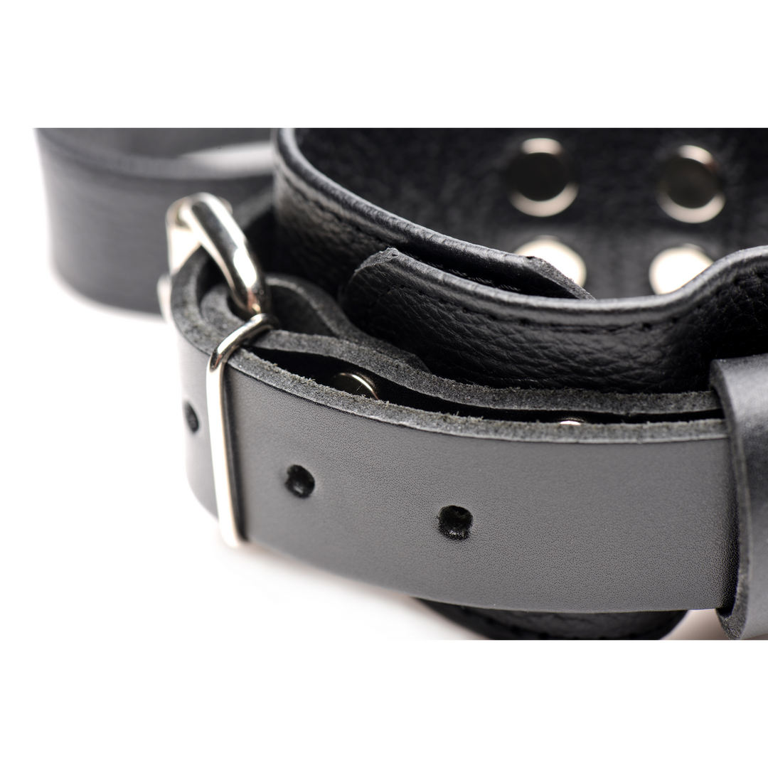 Leather Bed Restraint Set Black - Luxurious & Adjustable Xr Brands