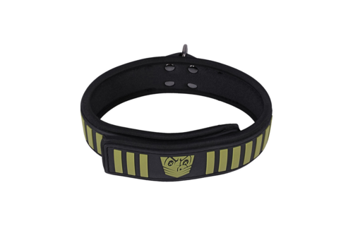 Tactische Halsband & Leash Zwart/Groen - Comfort & Veiligheid