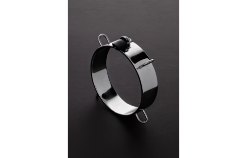 Collar for the Dungeon | Strong & Durable Stainless Steel