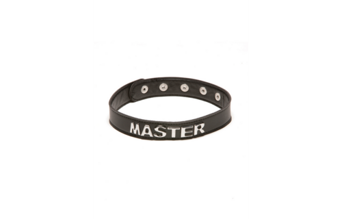 Master verstellbares Halsband mit Namensbuchstaben – Robust & stilvoll