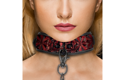 Tough Collar With Leash - Comfort & Optimal Control