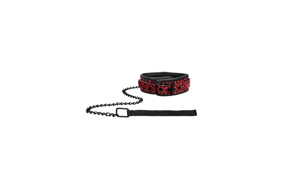 Tough Collar With Leash - Comfort & Optimal Control