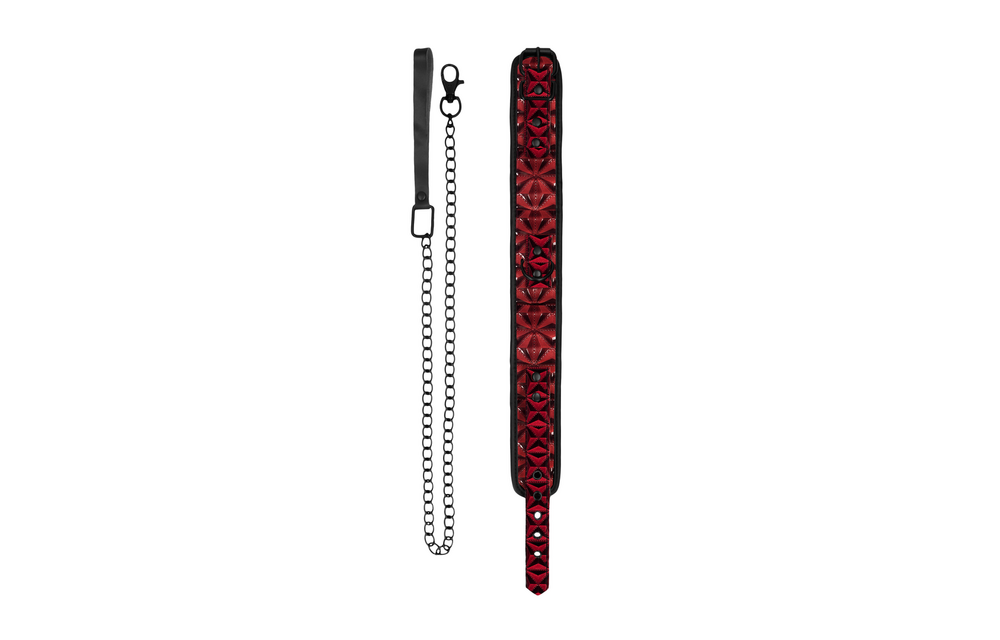 Robustes Halsband mit Leine – Komfort & optimale Kontrolle