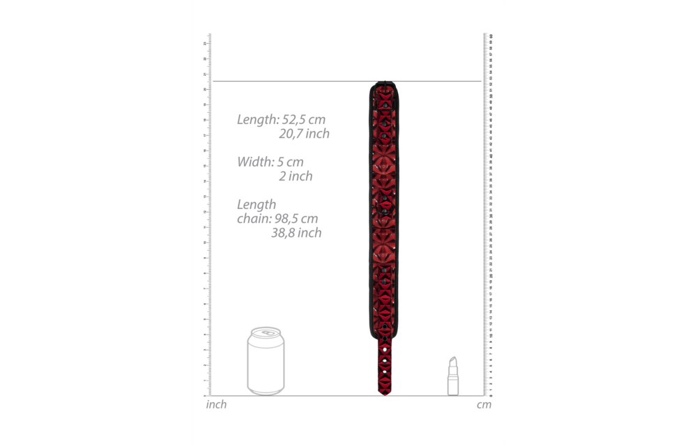 Robustes Halsband mit Leine – Komfort & optimale Kontrolle