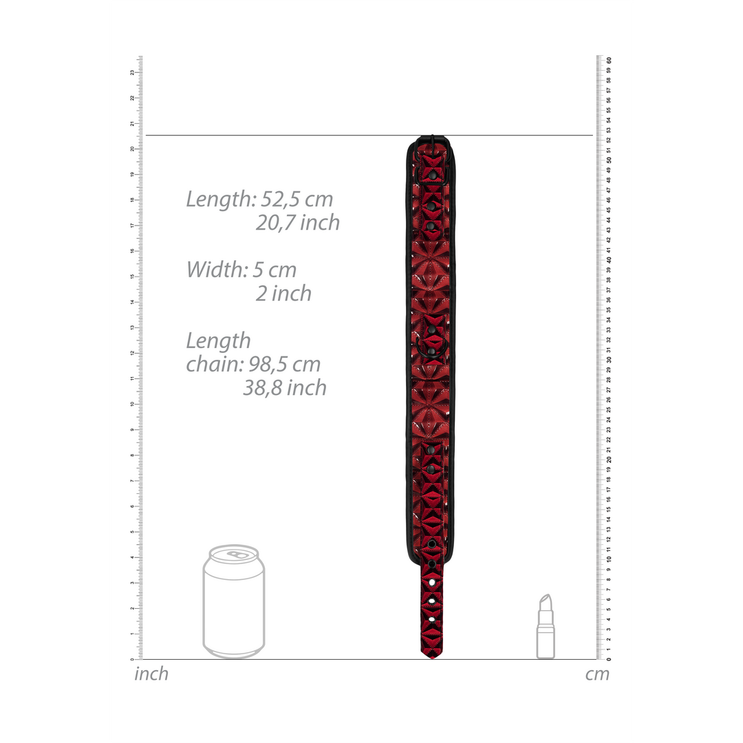 Tough Collar With Leash - Comfort & Optimal Control