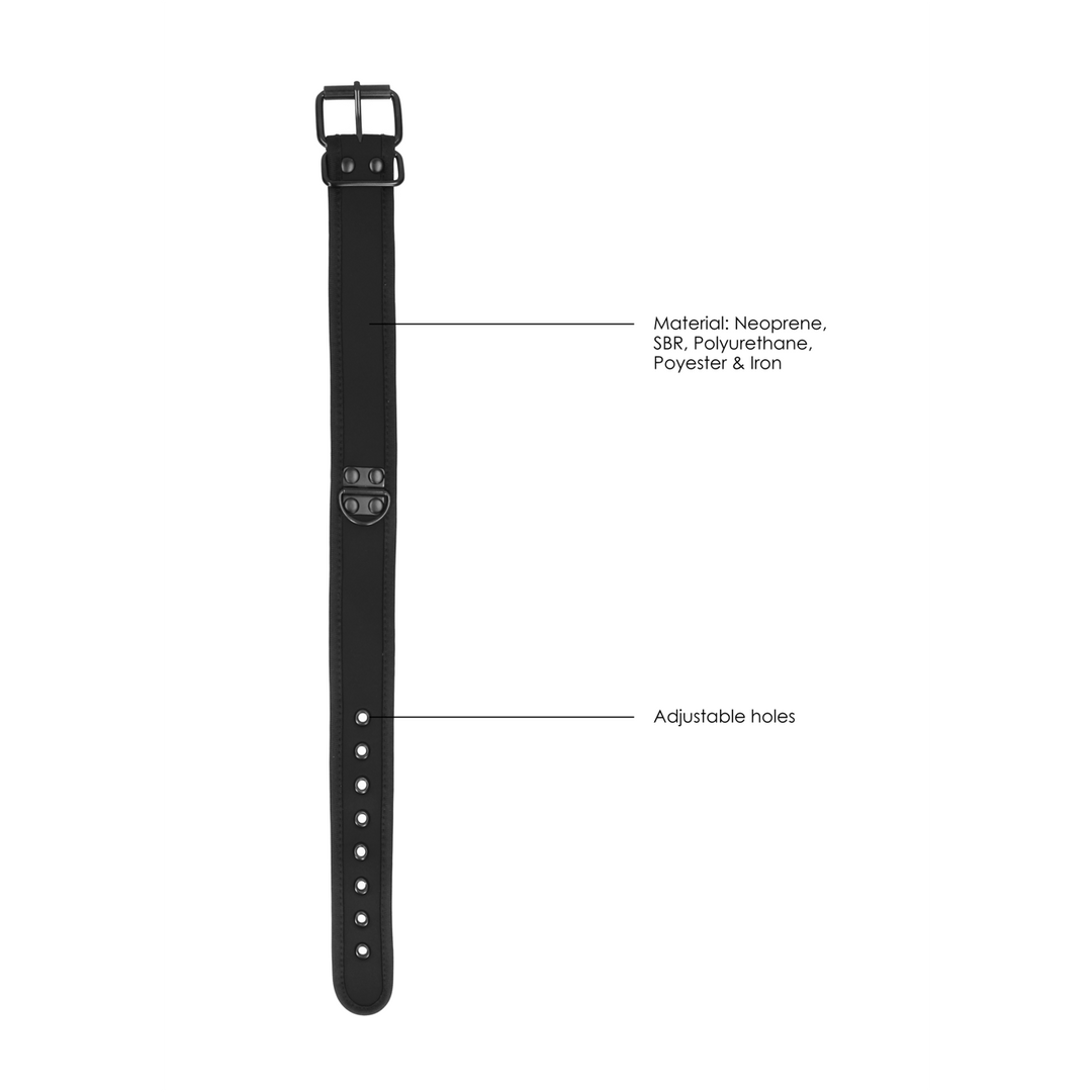 Neoprene Collar with Leash – Comfort & Control for Puppies