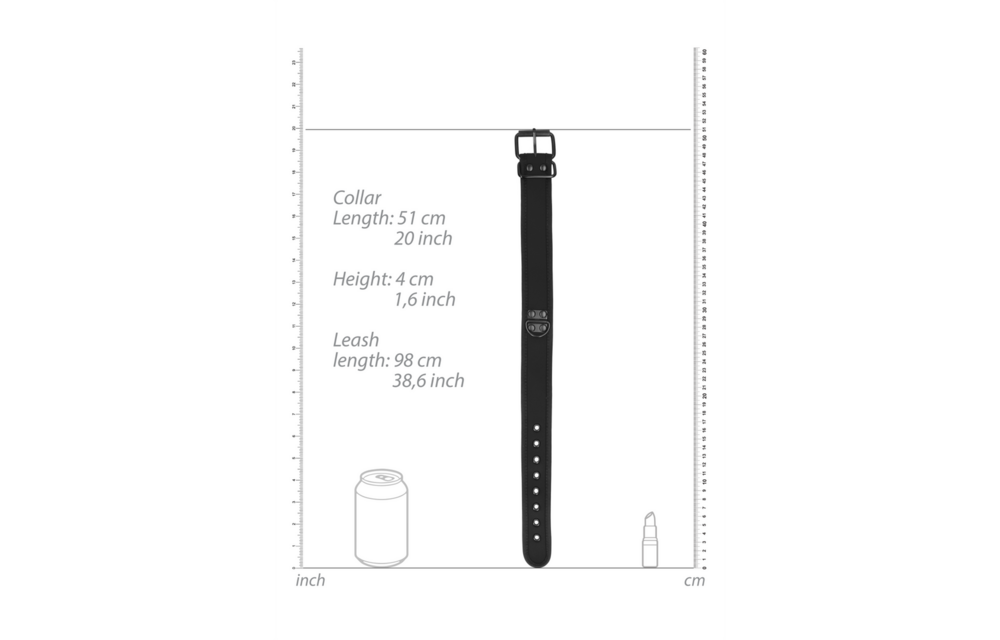 Neopren-Halsband mit Leine – Komfort und Kontrolle für Welpen