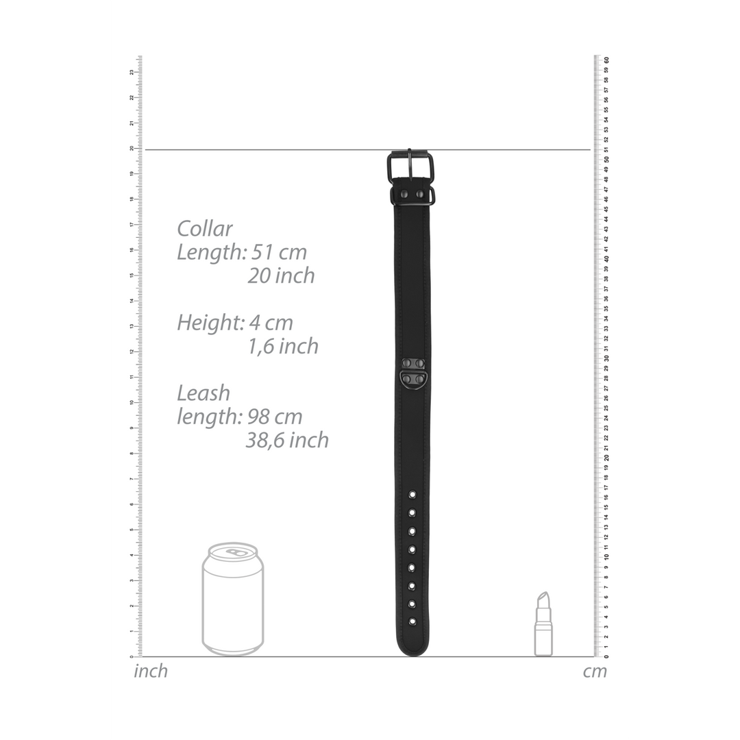 Neoprene Collar with Leash – Comfort & Control for Puppies