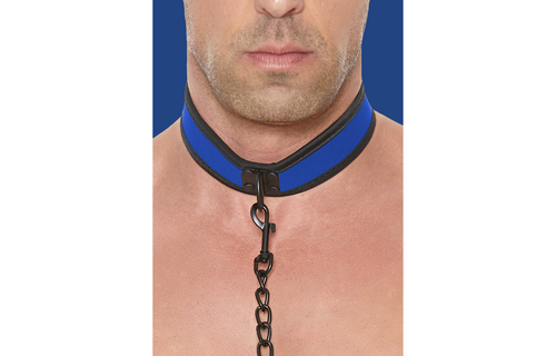 Neoprene Collar with Leash