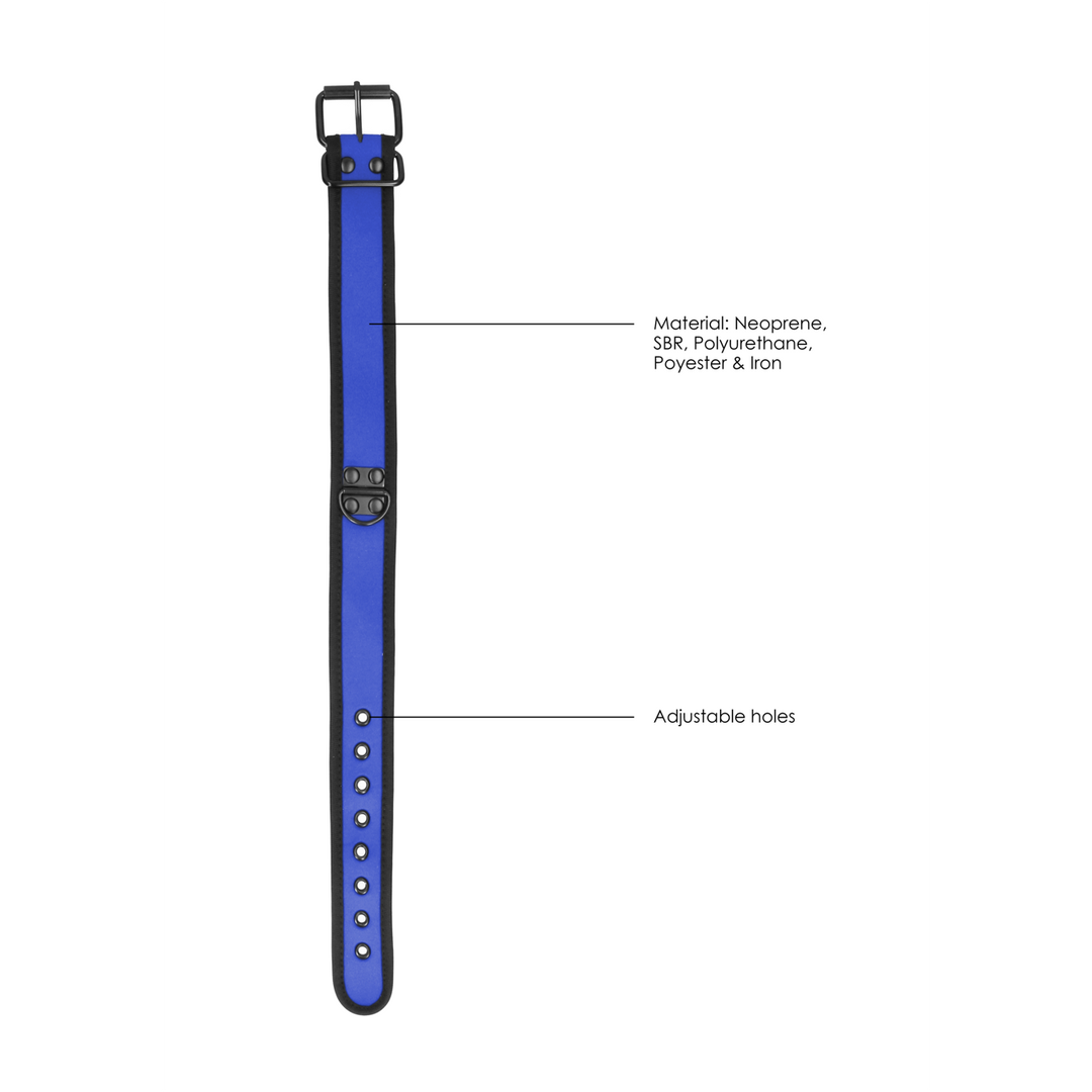 Neoprene Collar with Leash | Stylish & Comfortable Training