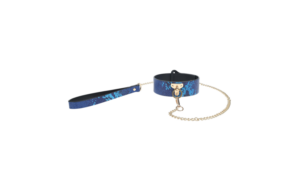 Florence Kollektion Halsband & Leine Blau – Stilvoll & Langlebig