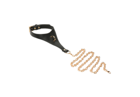Captivate Collar Black/Gold - Stylish & Adjustable