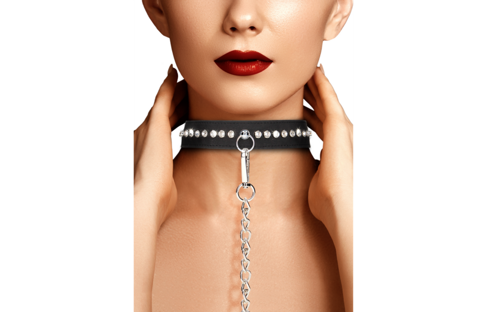 Diamond Studded Collar with Leash