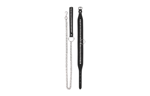 Diamond Studded Collar with Leash