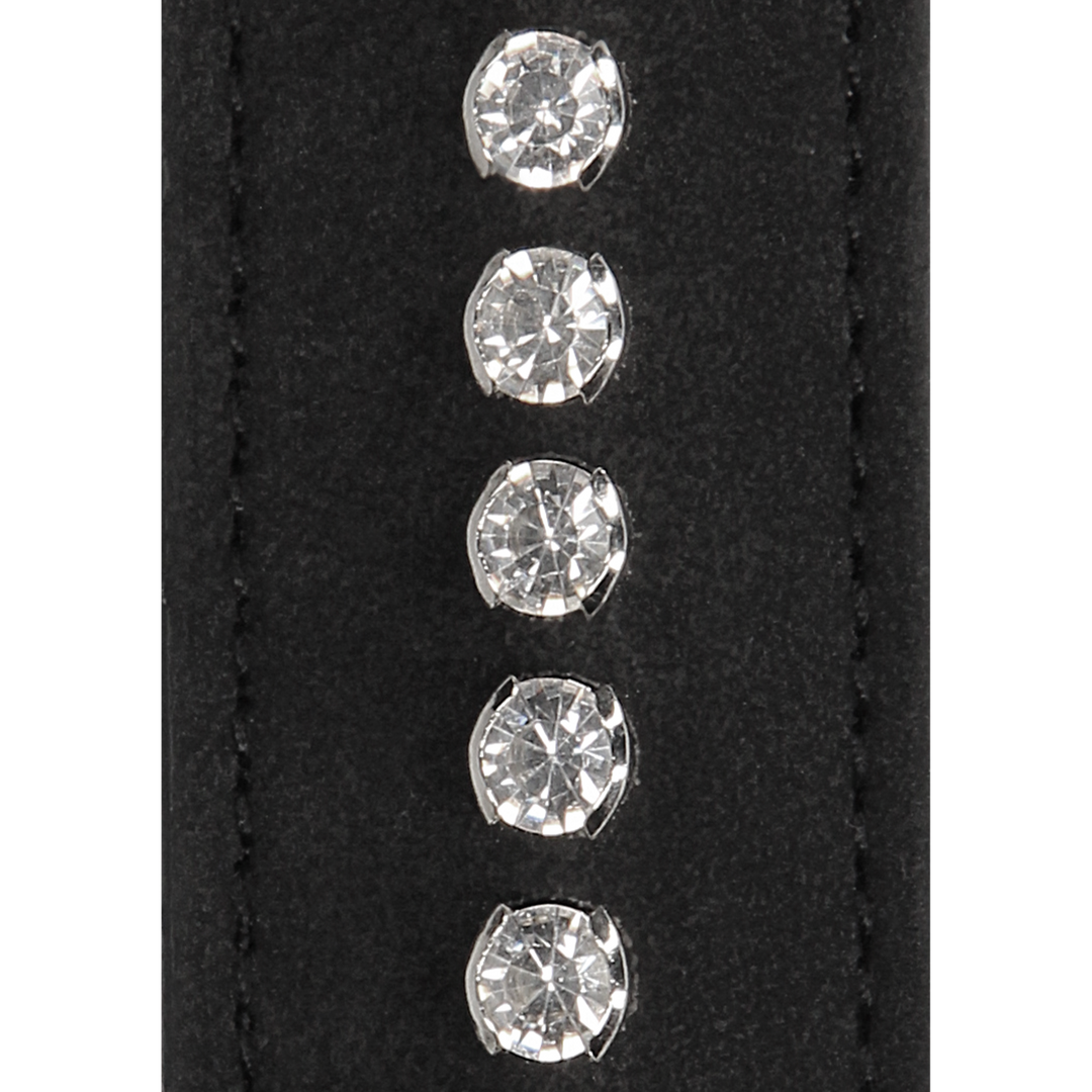 Diamanten Halsband met Leash