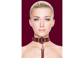 Luxury Collar with Leash Red – Stylish BDSM Set Ouch!