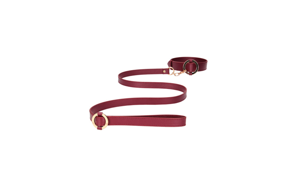 Luxurious Collar with Leash