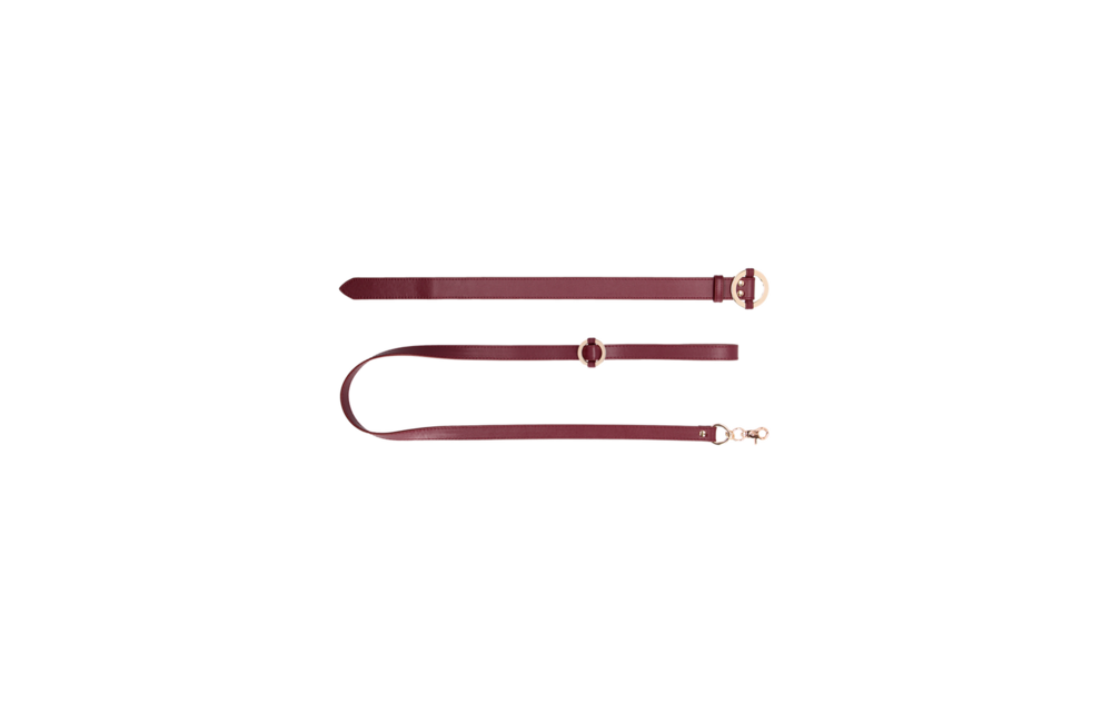 Luxuriöses Halsband mit Leine rot – Stilvolles BDSM-Set Ouch!