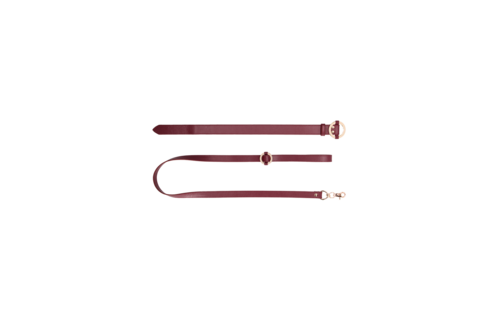 Luxe Halsband met Leash