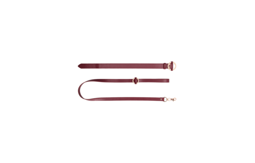 Luxuriöses Halsband mit Leine