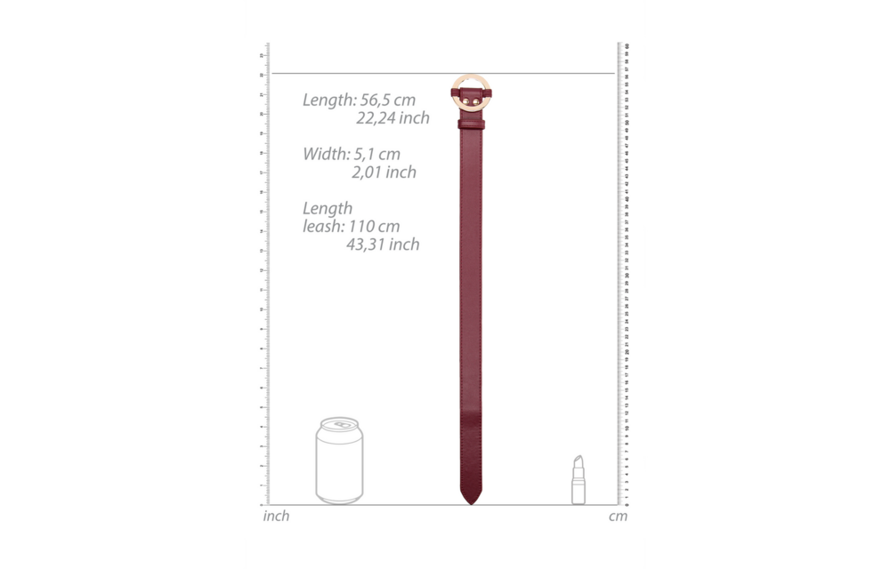 Luxuriöses Halsband mit Leine