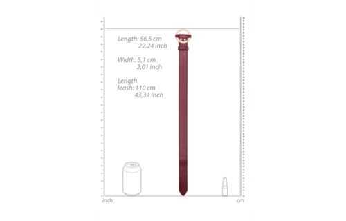 Luxuriöses Halsband mit Leine rot – Stilvolles BDSM-Set Ouch!