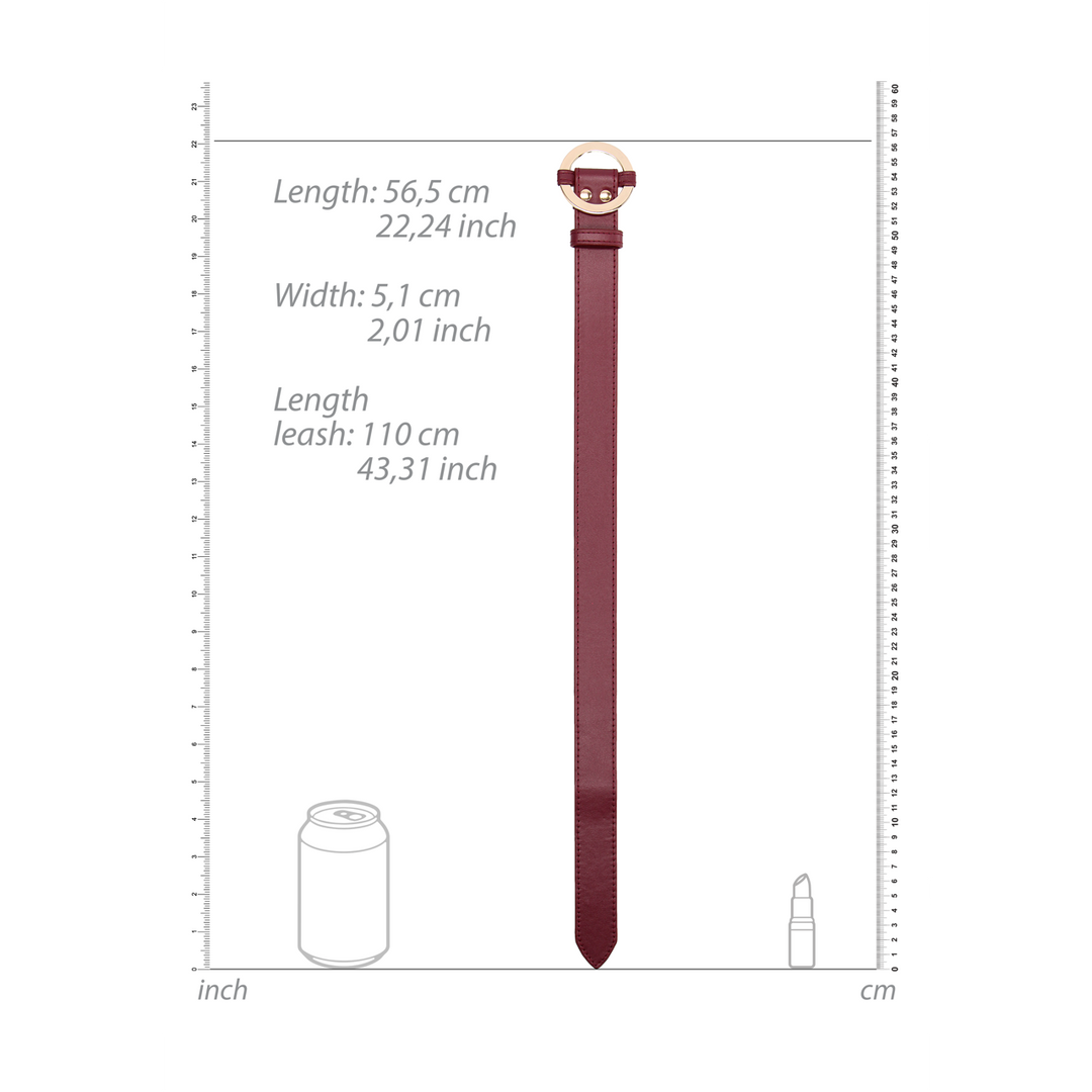 Luxuriöses Halsband mit Leine