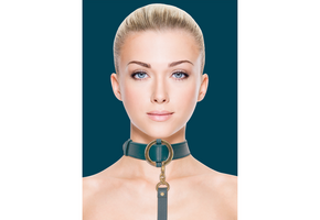 Luxury Collar with Leash – Stylish Leather Look & Gold Details