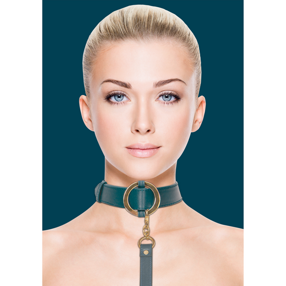 Luxury Collar with Leash – Stylish Leather Look & Gold Details