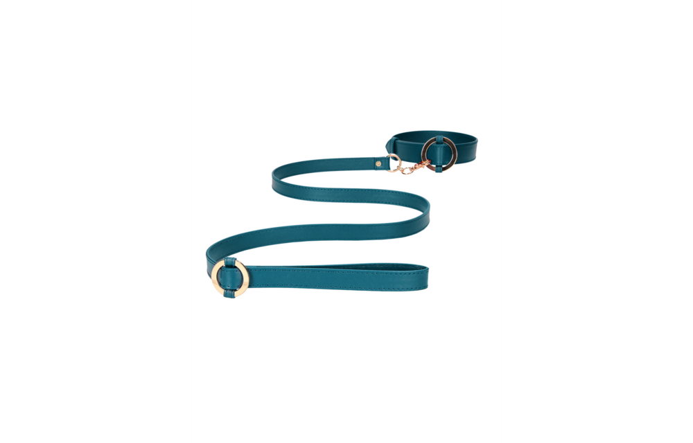 Luxury Collar with Leash – Stylish Leather Look & Gold Details