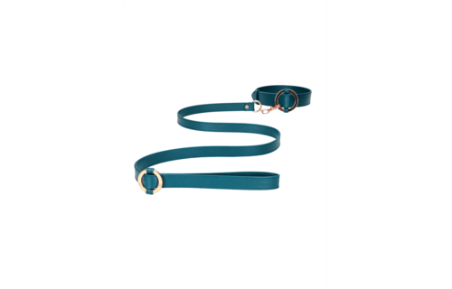 Luxury Collar with Leash – Stylish Leather Look & Gold Details