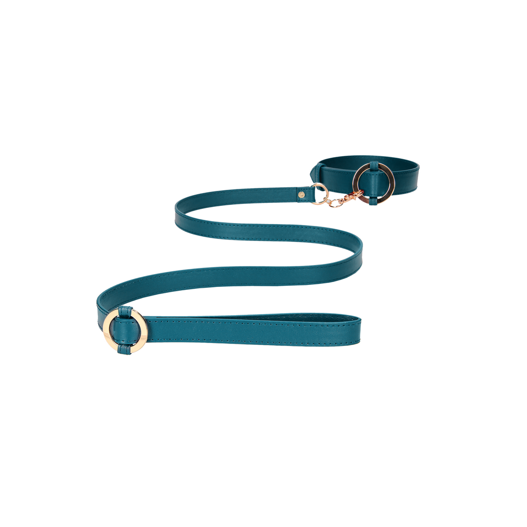 Luxury Collar with Leash – Stylish Leather Look & Gold Details